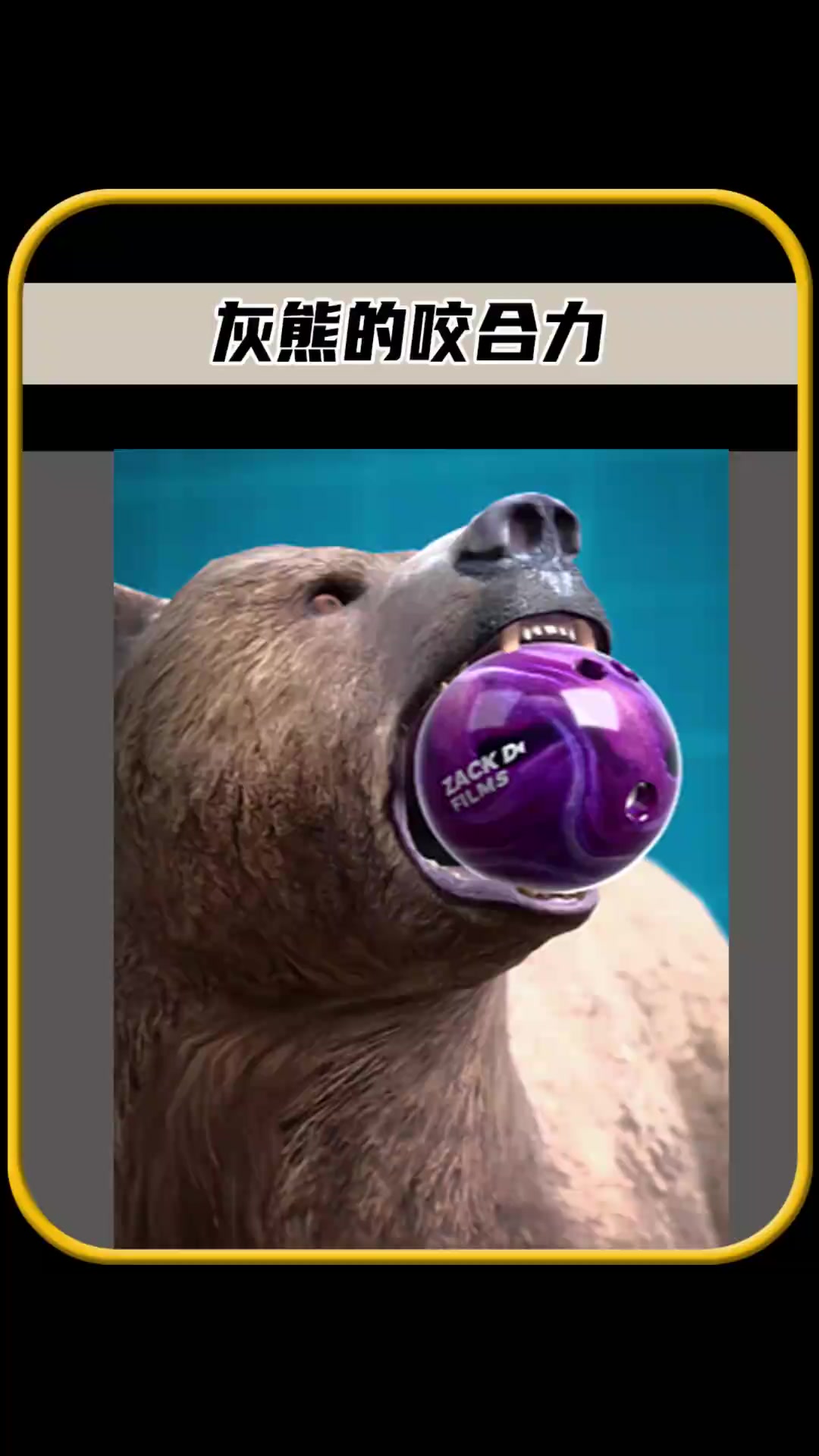 灰熊取得六连胜，胜灰熊