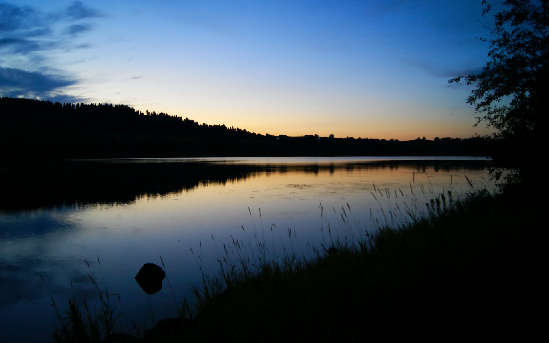 巴雷拉巨星光芒四射，勒沃库森对阵玻利维亚之战尽显价值