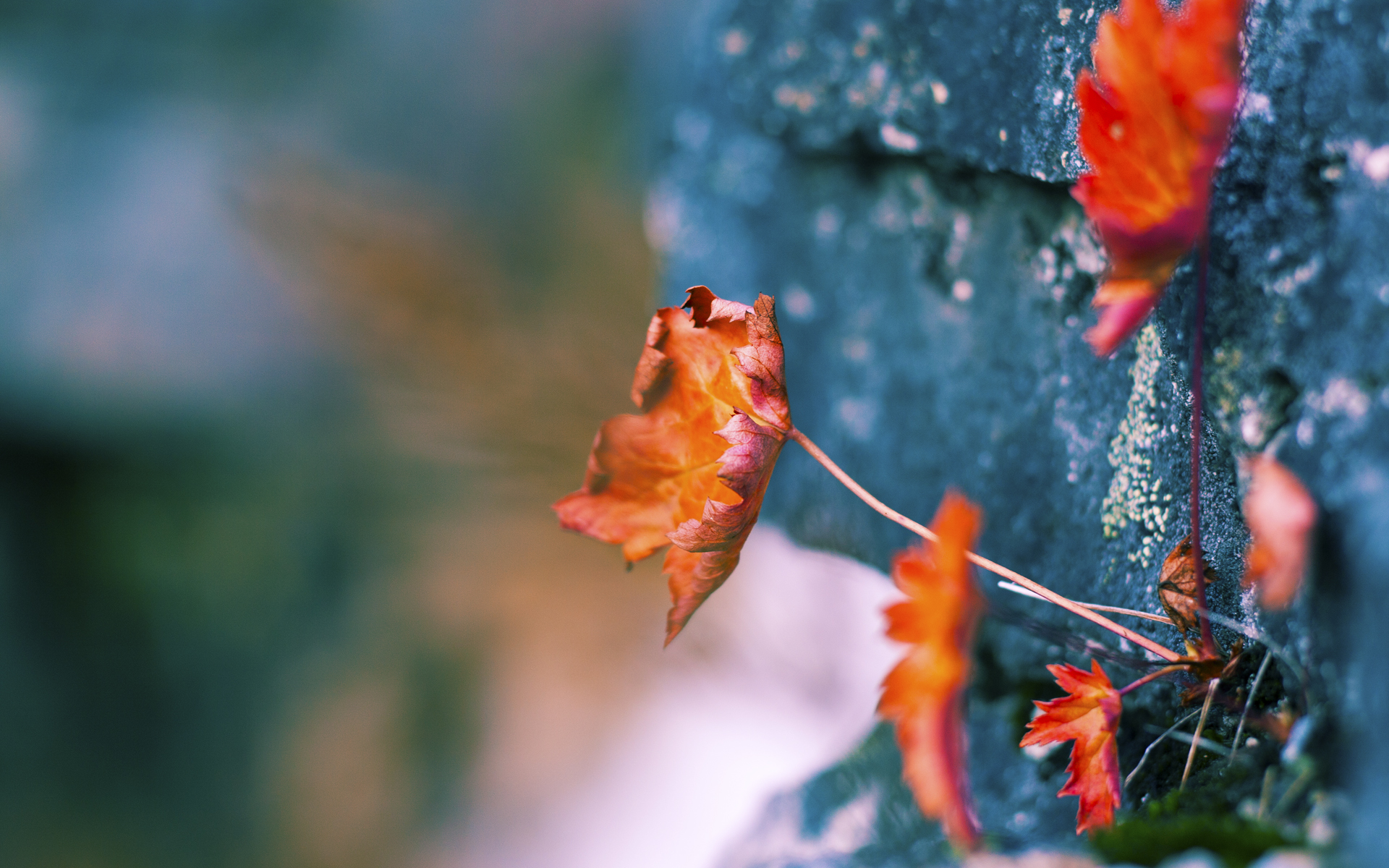 阿坎吉爆发难挽狂澜，乌克兰铁闸锁死瑞士利刃