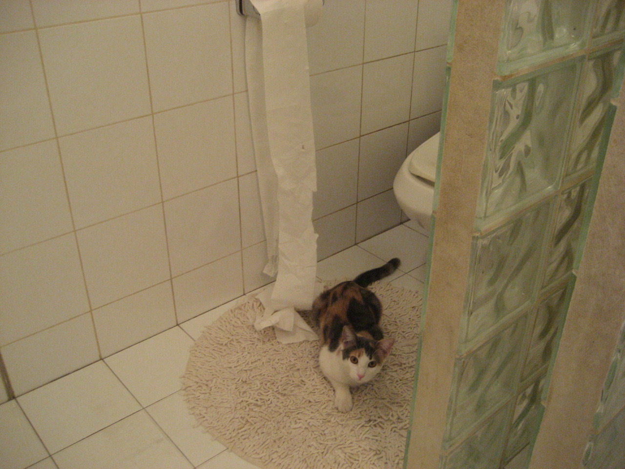 冰火两重天，德罗赞满分之夜与篮网的窒息式胜利