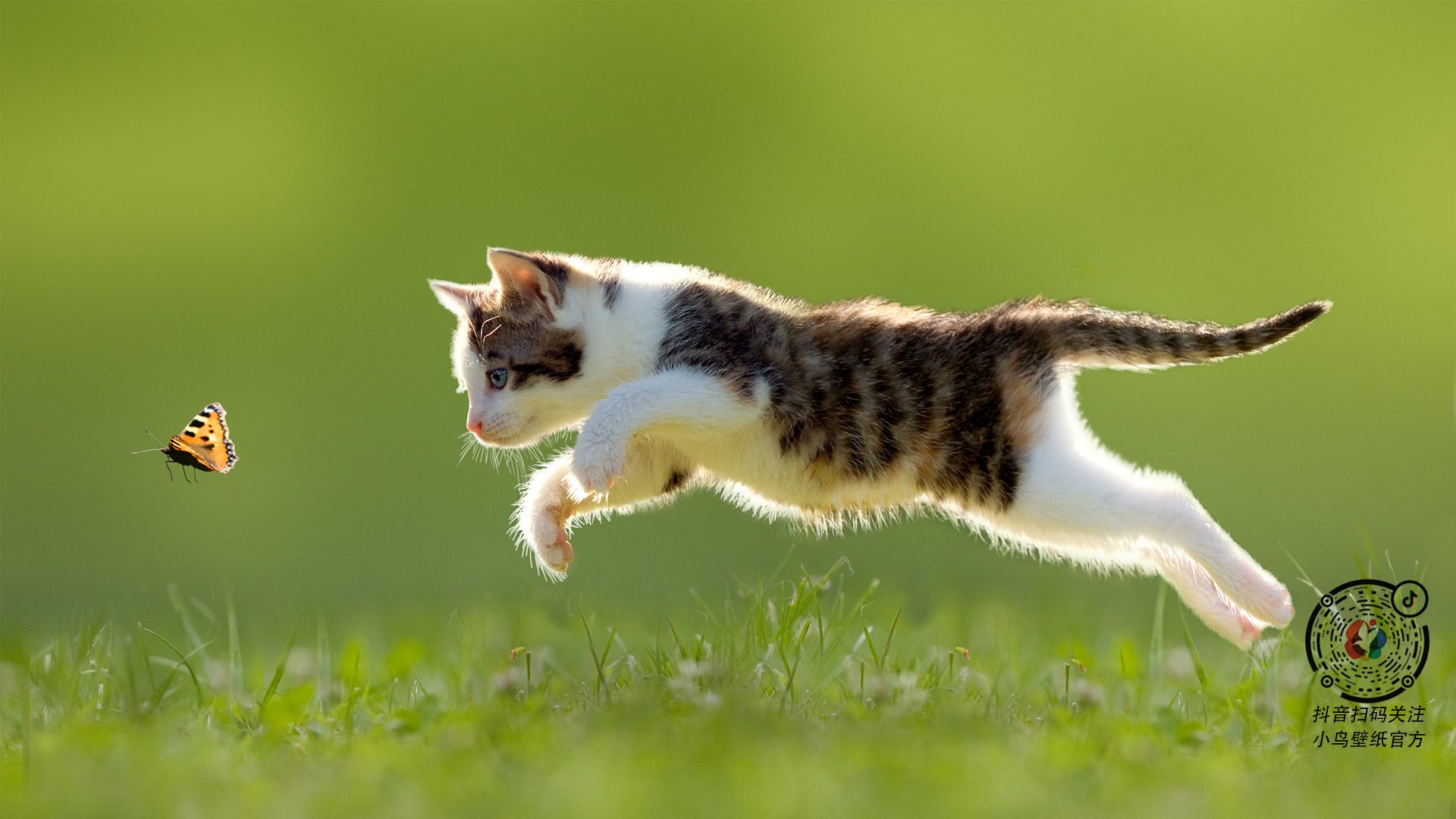 美国力克里昂,门迪在NBA总决赛的接管传奇