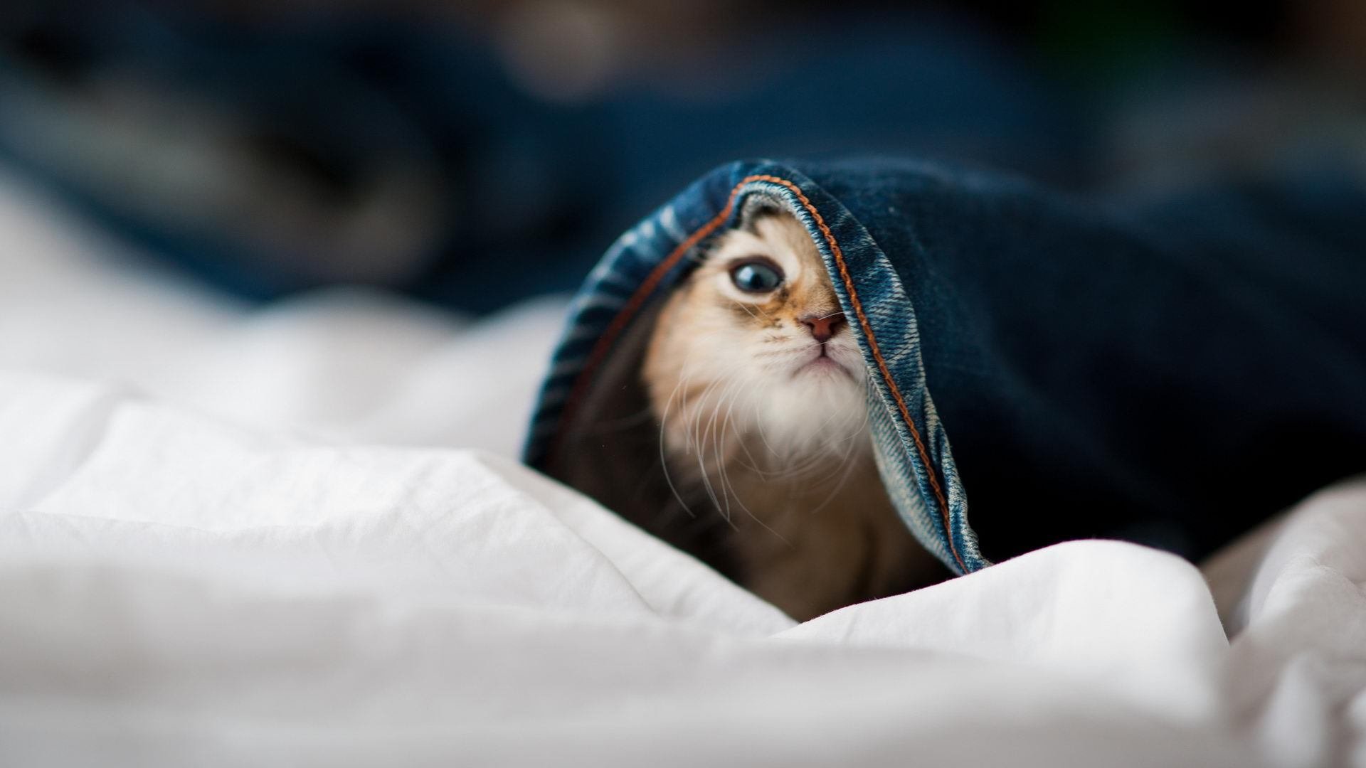 英格兰荣耀,巴西铁腰!卡塞米罗惊世远射击碎宿命