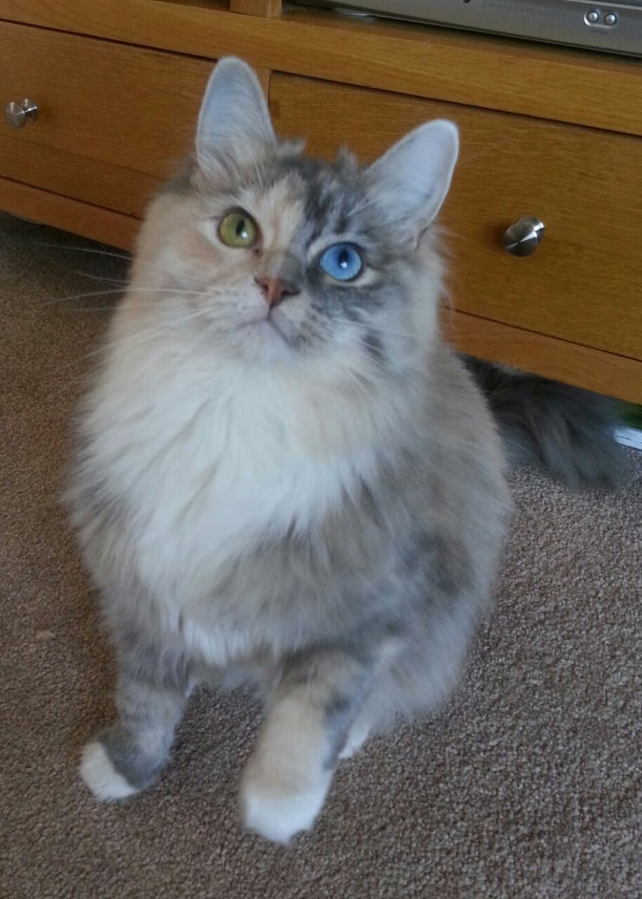 萨内让比赛提前失去悬念，芬兰鏖战哥斯达黎加，现代足球的两张面孔