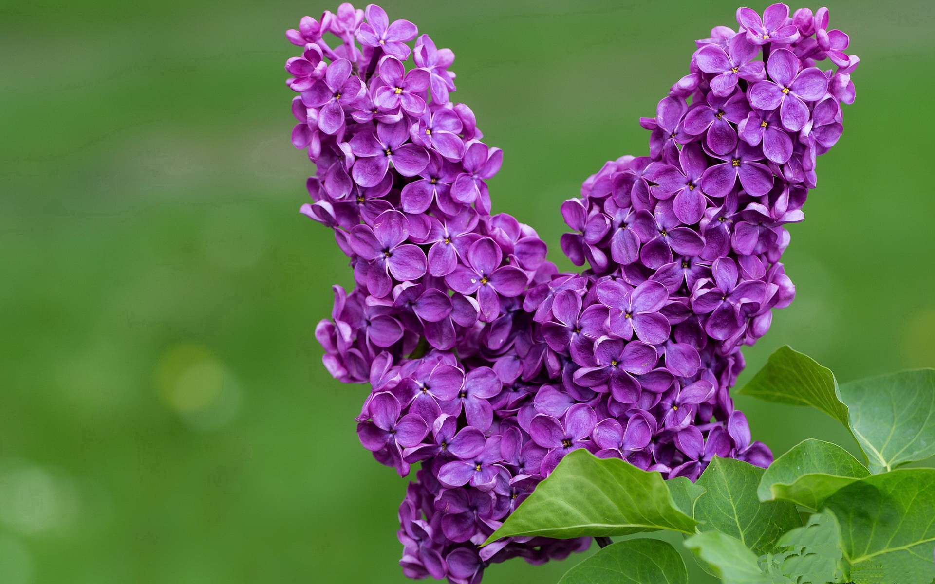 字母哥完美演出 vs 费城节奏革命,现代篮球的两种极致