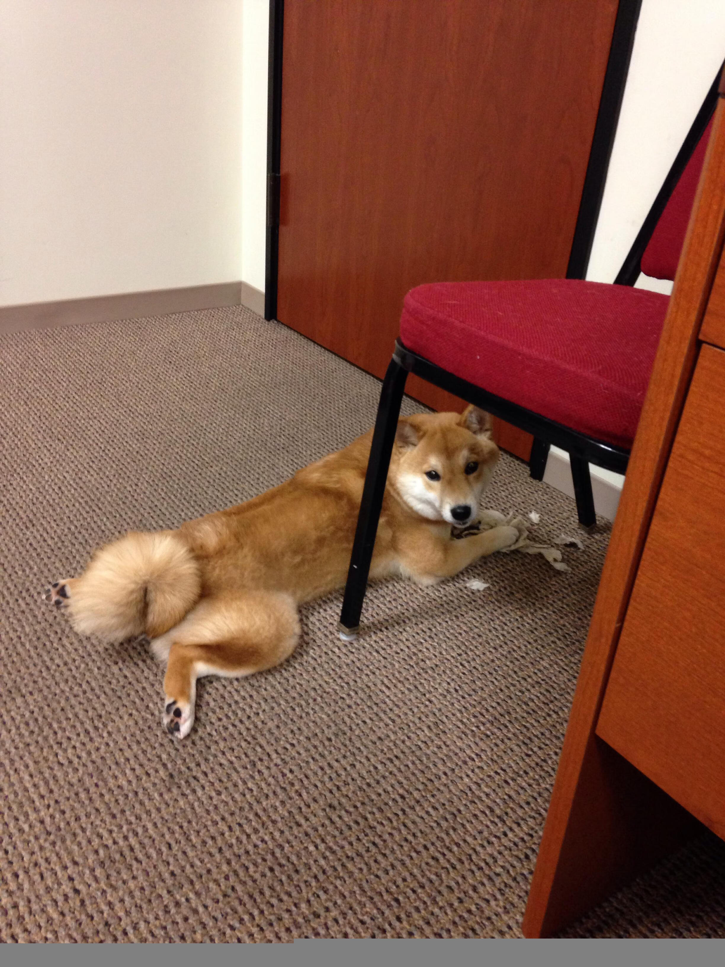 体育双线狂飙，F1新赛季揭幕战点燃全球，新疆队客场鏖战带走浙江队胜利