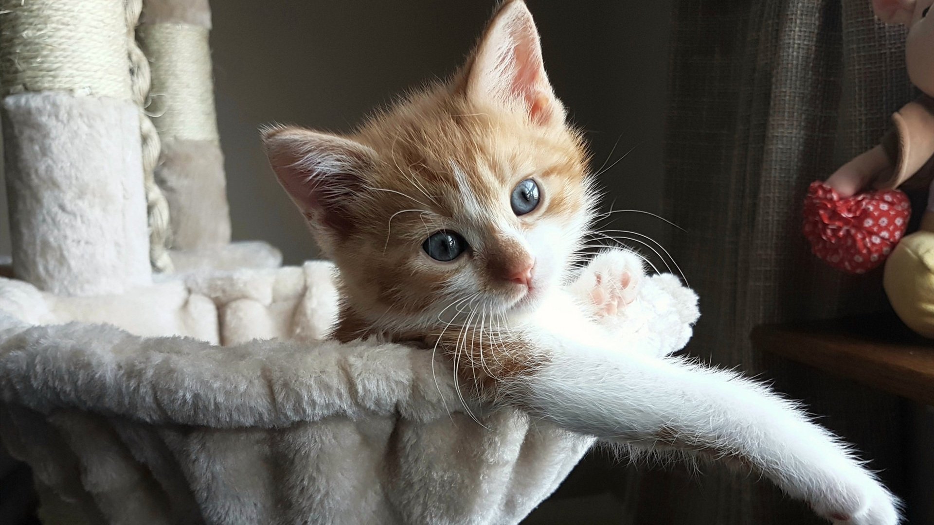 奥运周期关键战启示录，当切尔西力克巴萨诠释体育终极较量