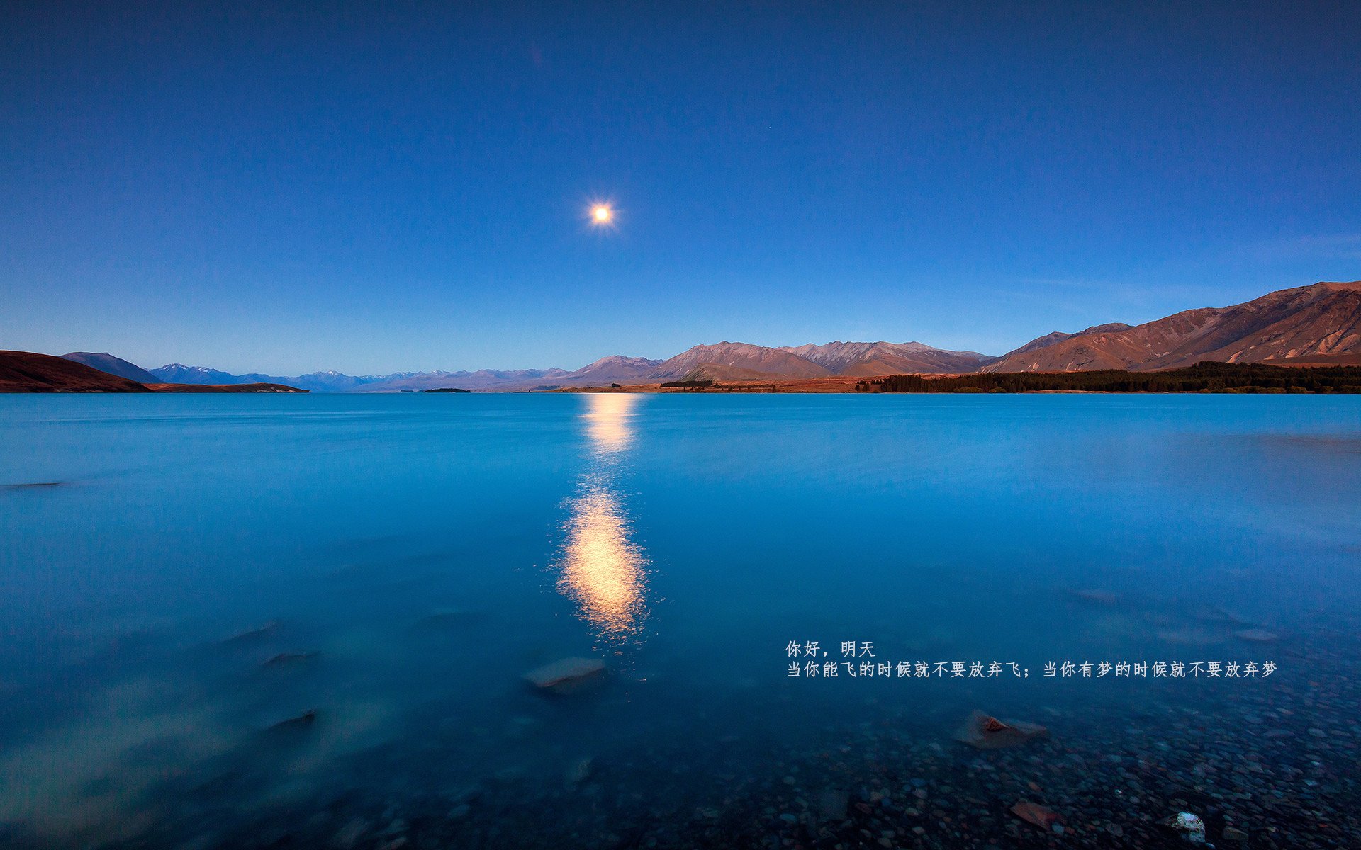 灰熊摧枯拉朽击溃森林狼,塔图姆末节封神诠释关键先生