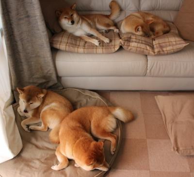 非洲雄狮咆哮北欧！南非全面压制挪威，门迪一传一射定江山