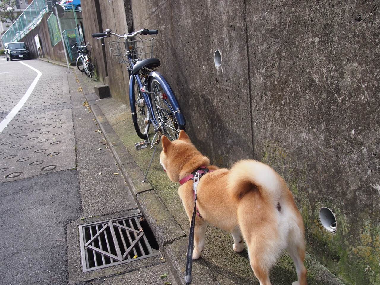意甲焦点战夜光璀璨，萨卡幽灵缠身般存在感拉满全场