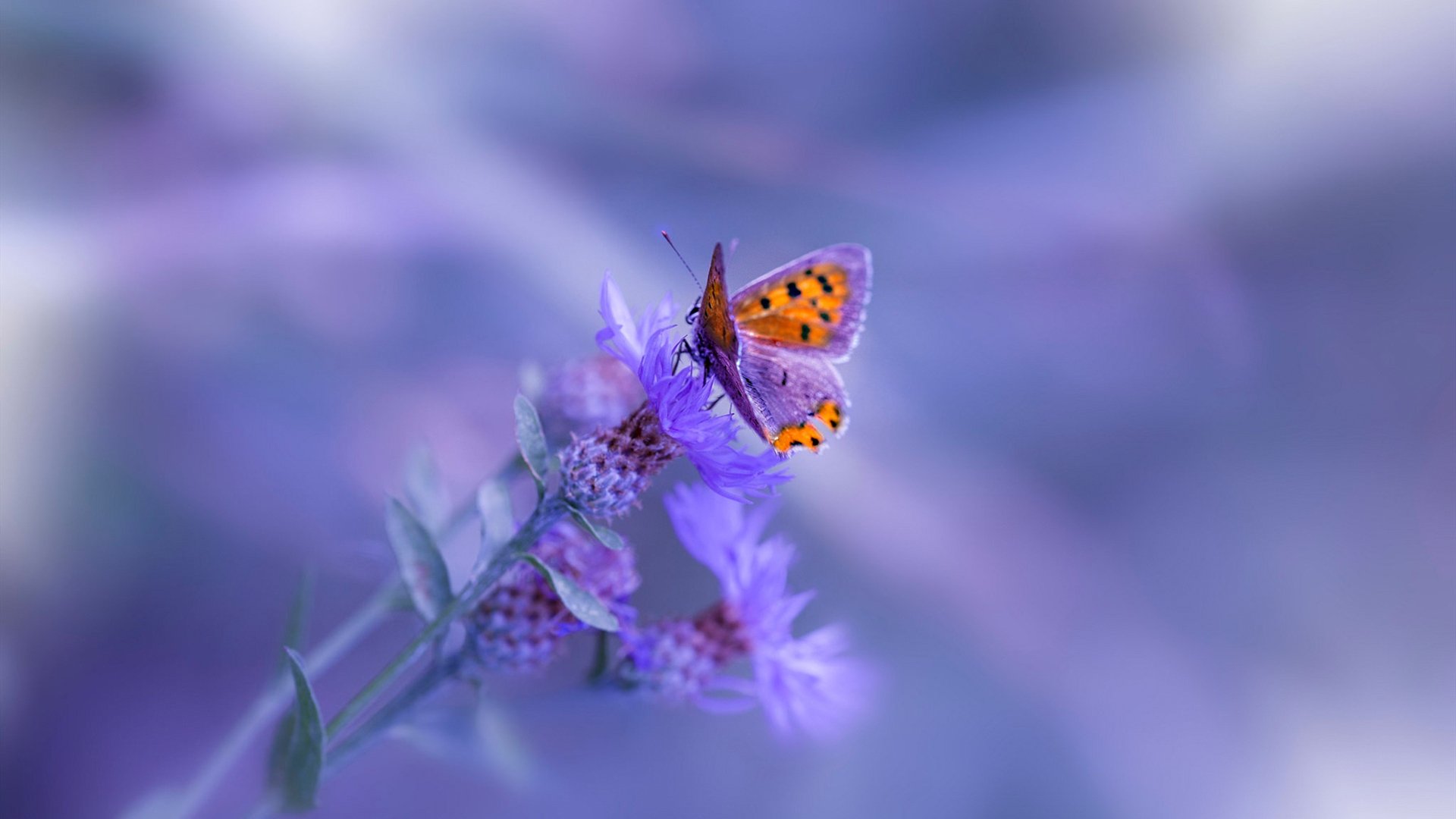 西决生死战玄铁重剑，西班牙末节狂飙带走拜仁