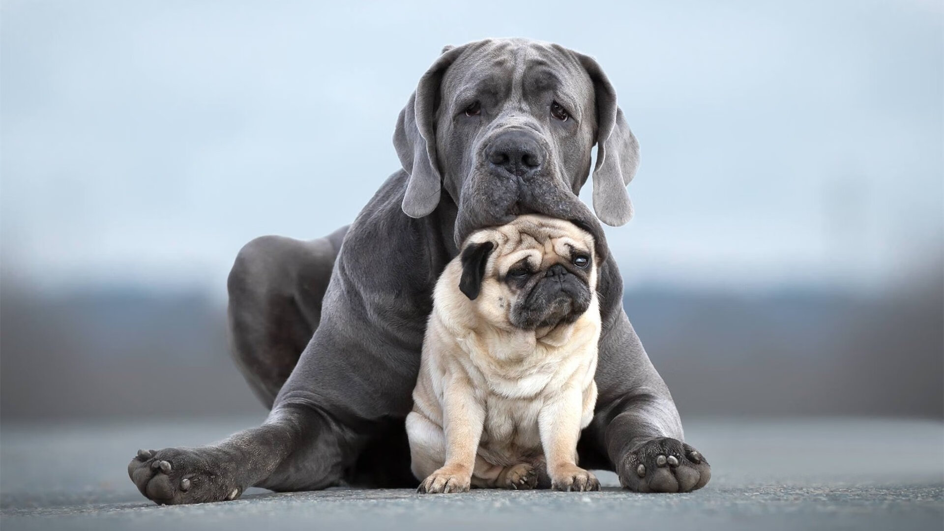 极速与攻防，F1揭幕战的轰鸣与卡塞米罗的火热状态